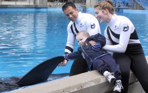 Steven touching Shamu.JPG (12885 bytes)