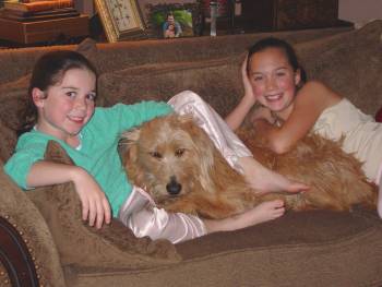 webdog.jpg (14640 bytes)