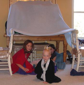 webking2.jpg (16984 bytes)