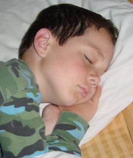 websleep.jpg (10791 bytes)