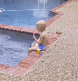 webalbumpopsicle.jpg (11983 bytes)